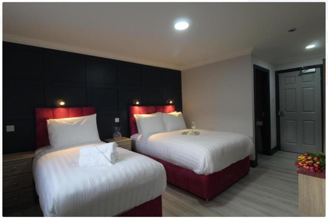 Dutch Tulip Rooms Маллоу Екстер'єр фото